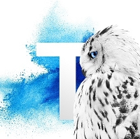 Tribal Group - Case Study