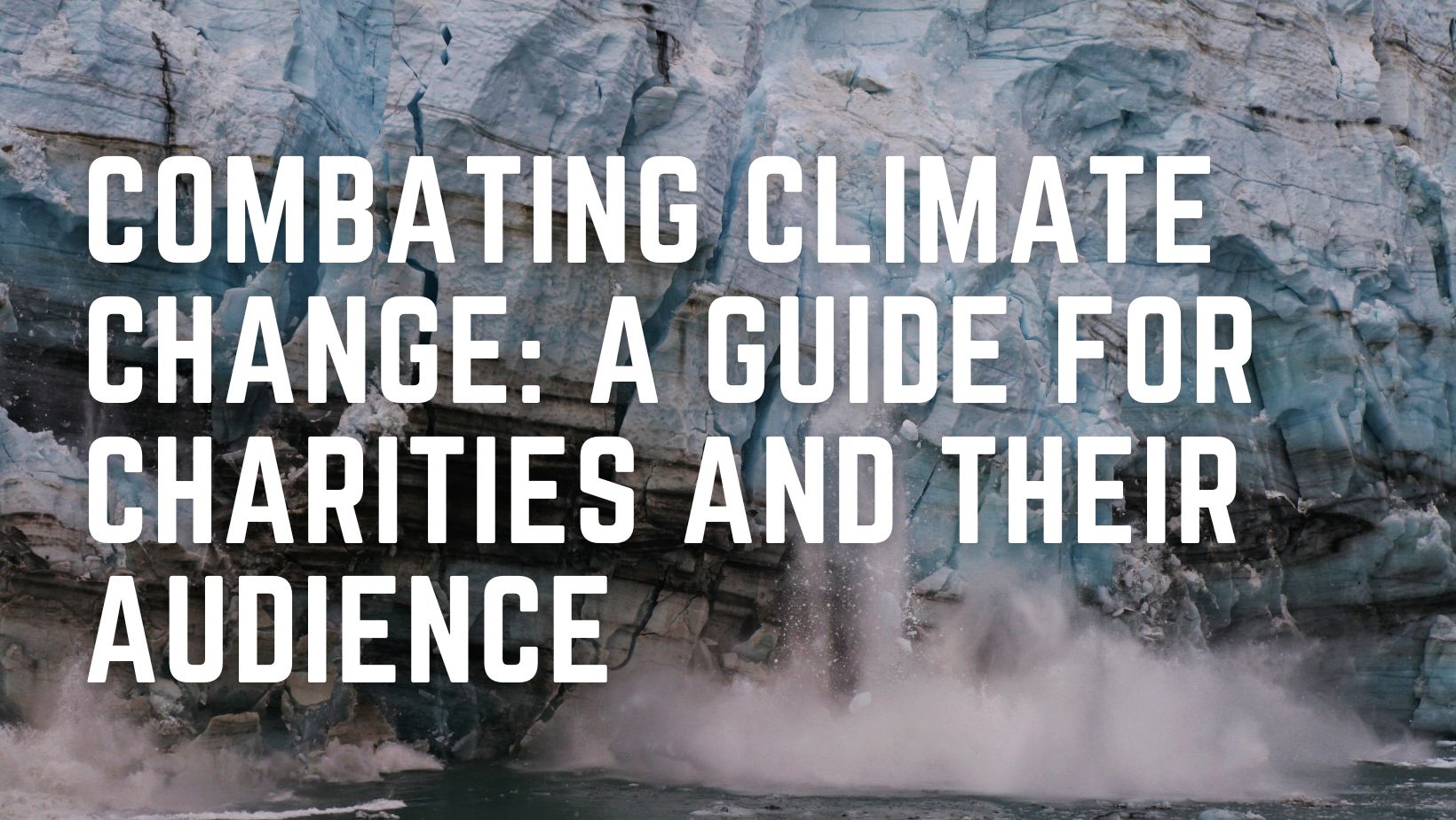 Combating Climate Change: A Guide for Charities and Their Audience
